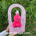 بگ خرگوش قلبی