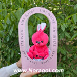 بگ خرگوش قلبی