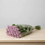 گل رز هلندی یاسی