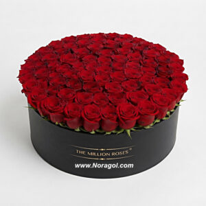 باکس گل رز 100 شاخه